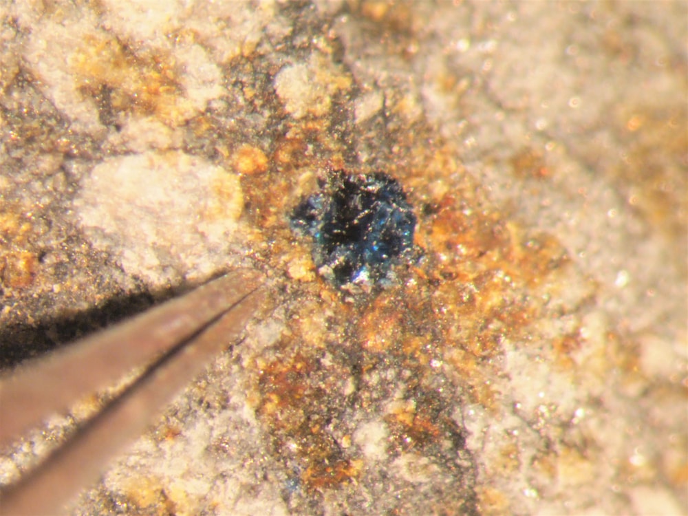 a small blue dot on the surface of a tan stone. tweezer pointer on the left to show small size