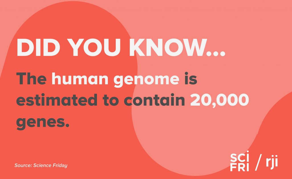 Card that says "did you know the human genome is estimated to contain 20,000 genes."