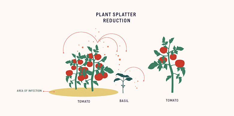 graphic of plant splatter reduction