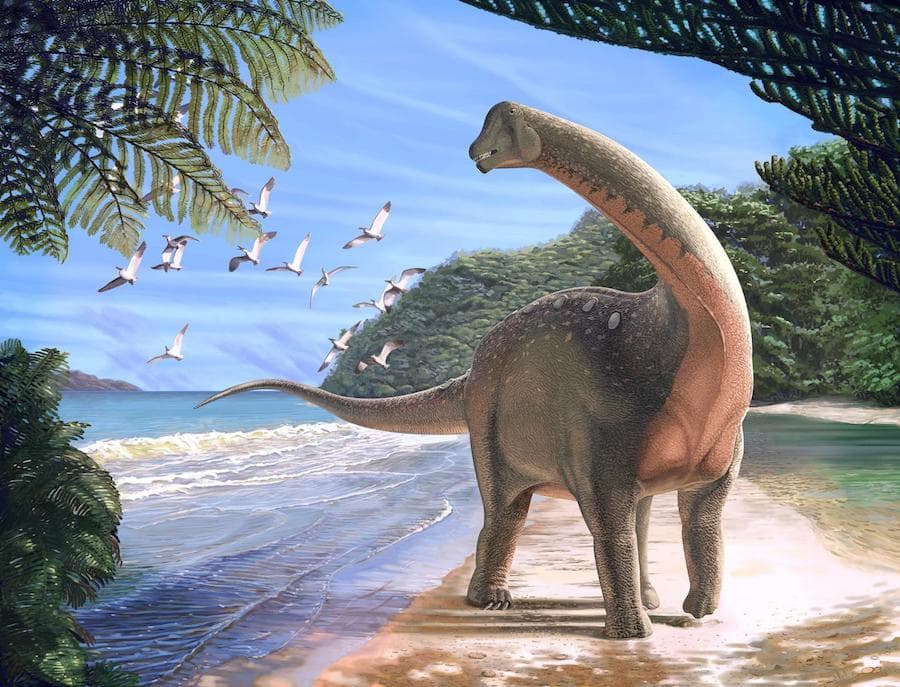 illustration of long-necked dinosaur walking on tropical beach