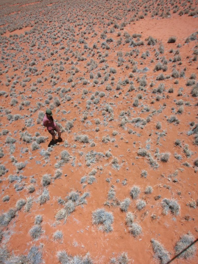 aerial shot of graduate student walking out in the namib desert