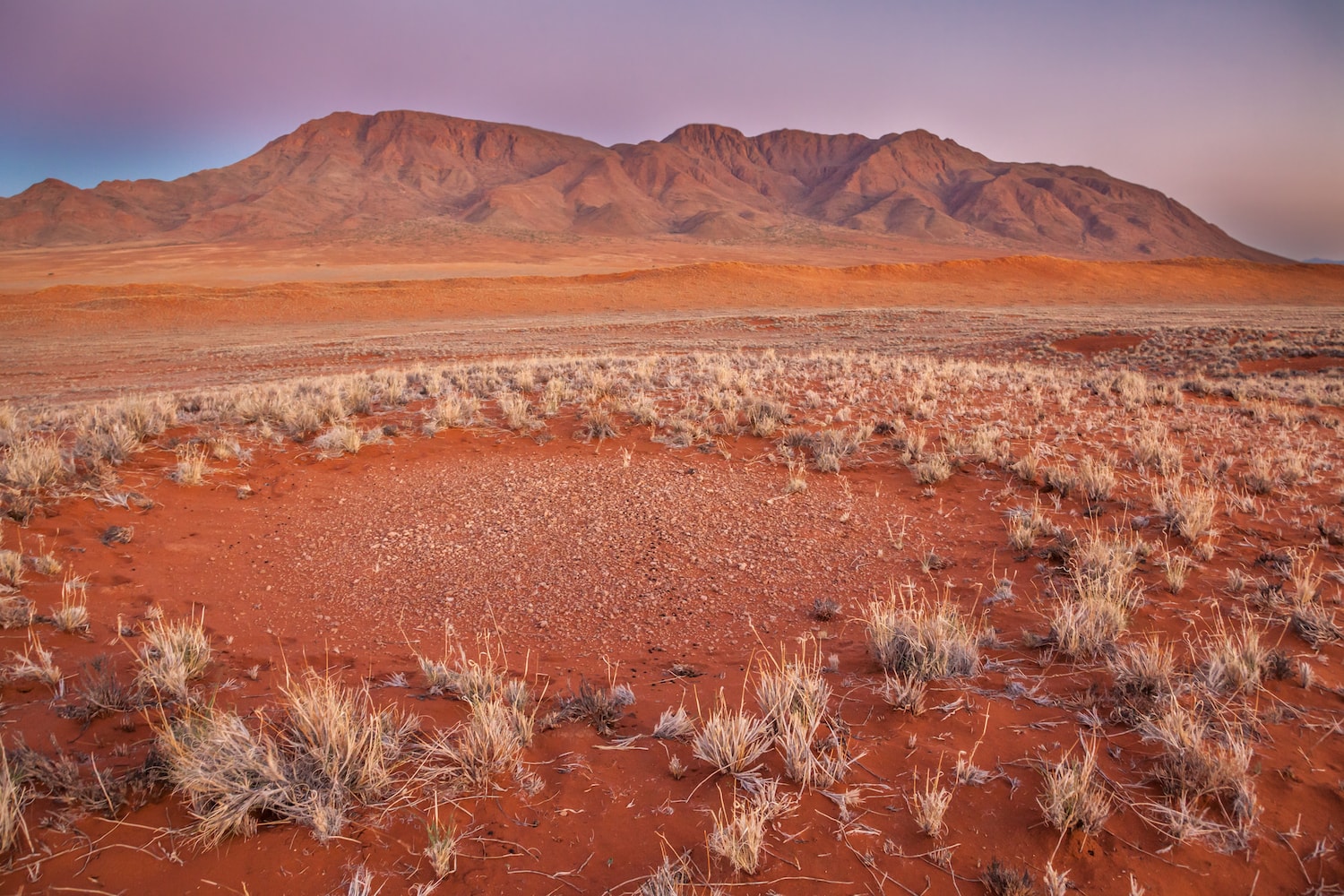 The Mystery Of The Namibian Fairy Circles