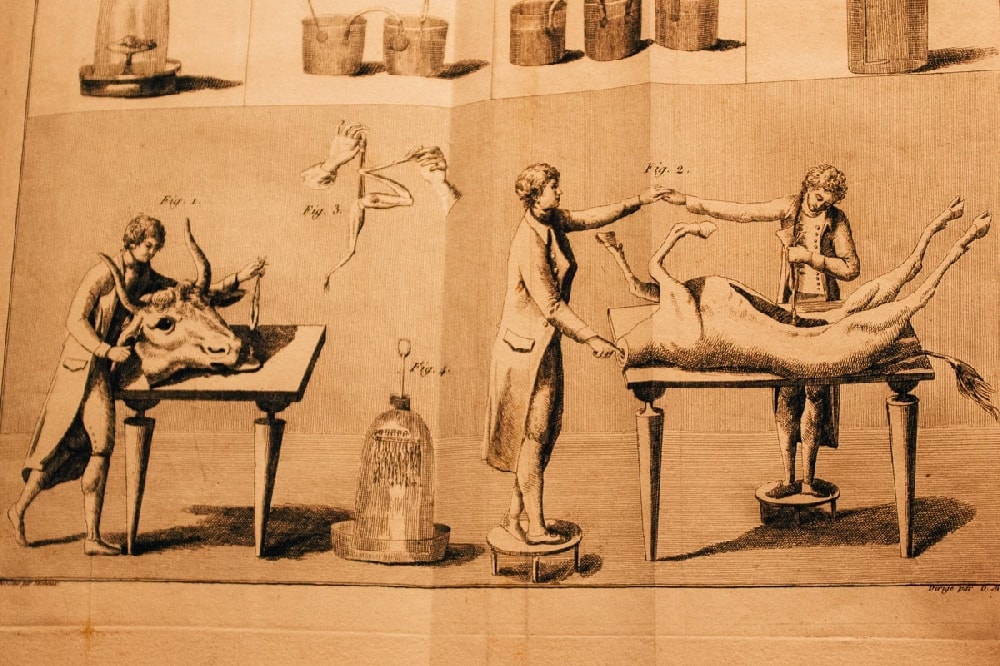 An Experiment of Chemistry with Historical Context: 18th-Century