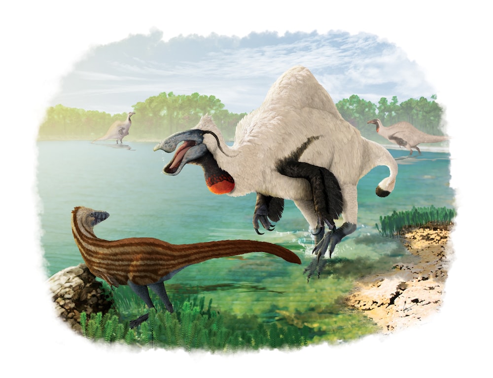 A Paleoartist Envisions of Ancient Creatures