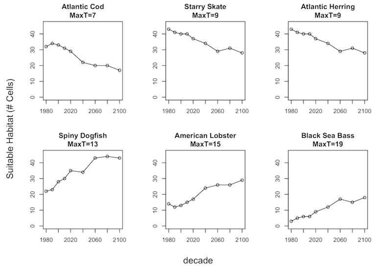 graphs of suitable habitat temperatures for the six different species over time