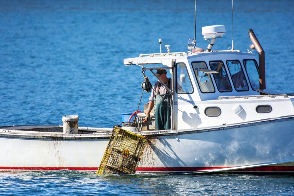 a fisherman on a boat pulling up a trawl