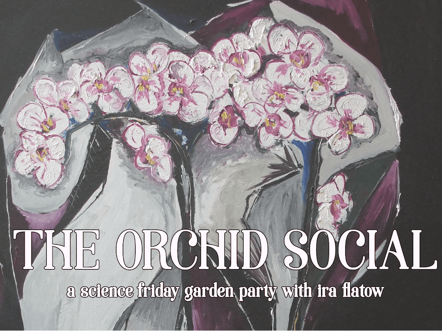 painting of orchids with text that says "the orchid social:"a science friday garden party with ira flatow"