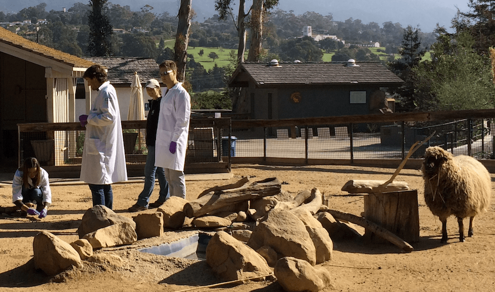 scientists in lab coats in a dirt pen at a zoo with a goat