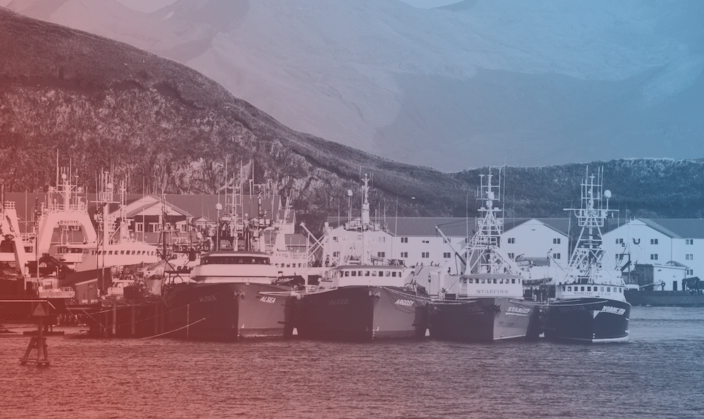 a line of fishing trawlers docked in the harbor with a red and blue gradient