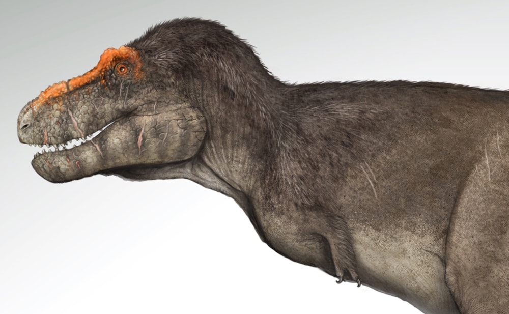 T. rex may have had lips like a modern lizard's