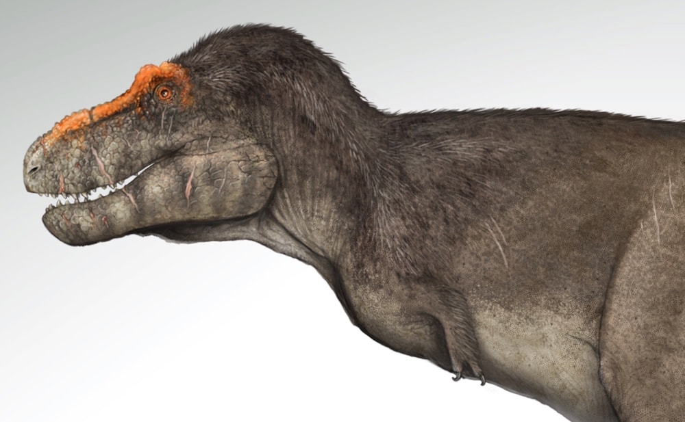 back to the dinosaurs