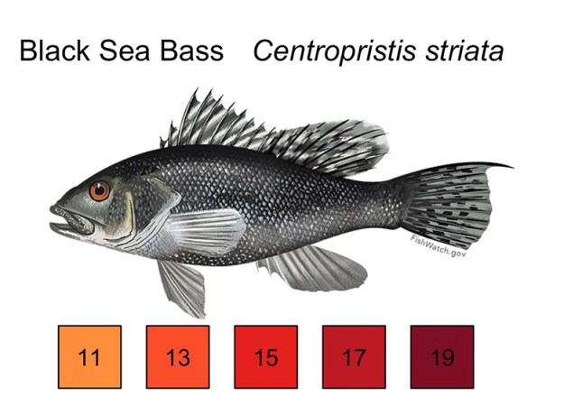 Interpret The Impacts Of Rising Ocean Temperatures On Ecosystems