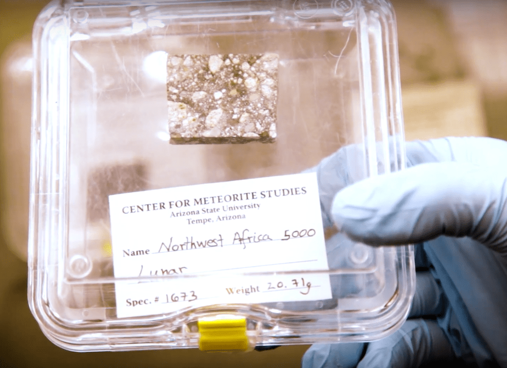 speckled gray meteorite sample in box held by gloved hand