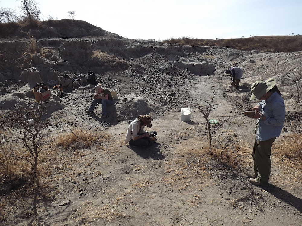 researchers out in an excavation site