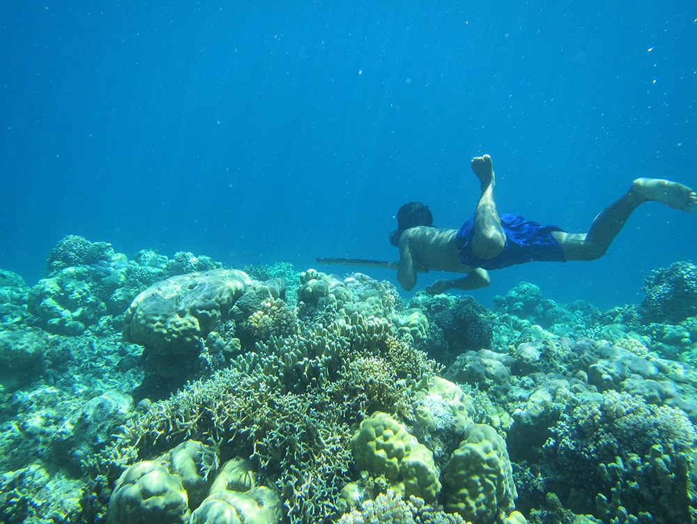 Bajau diver