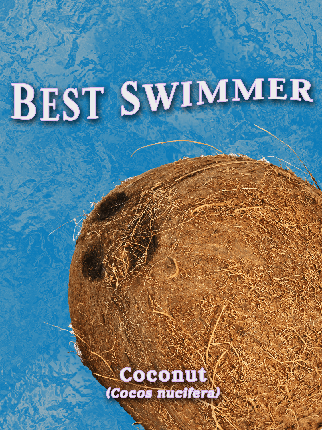 a yearbook style portrait with water background of the coconut