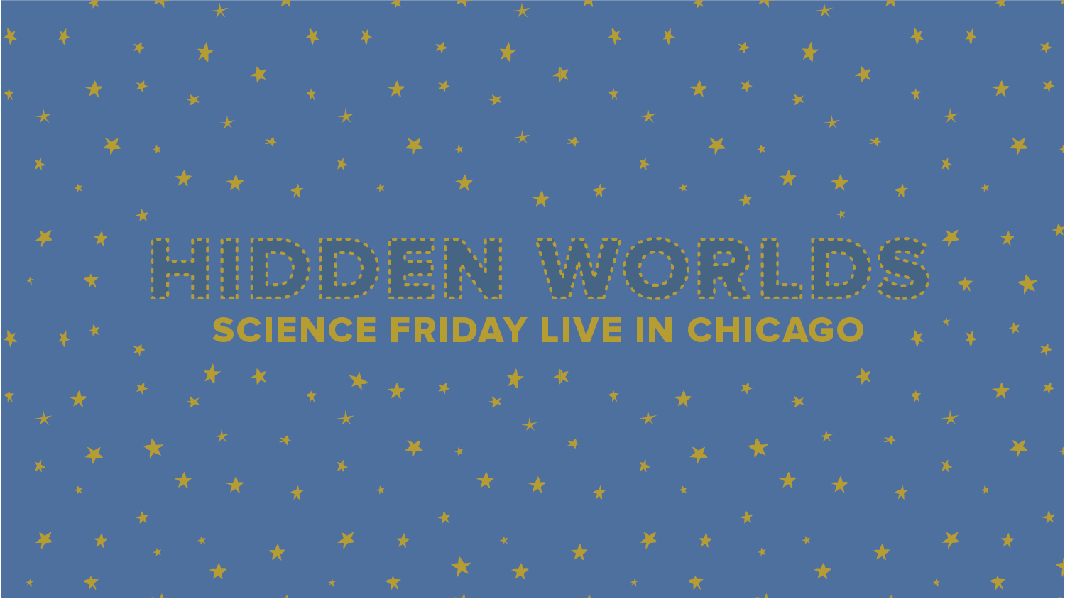 Hidden Worlds: Science Friday Live In Chicago logo among stars