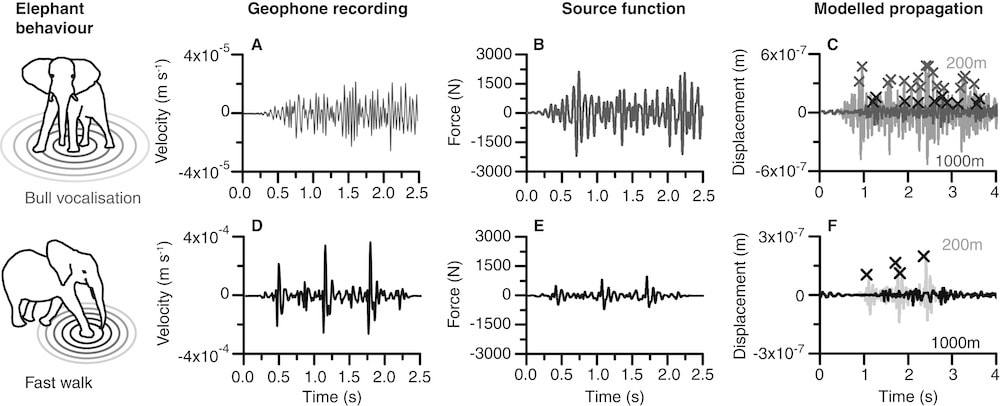 six different line graphs of elephant vibrations