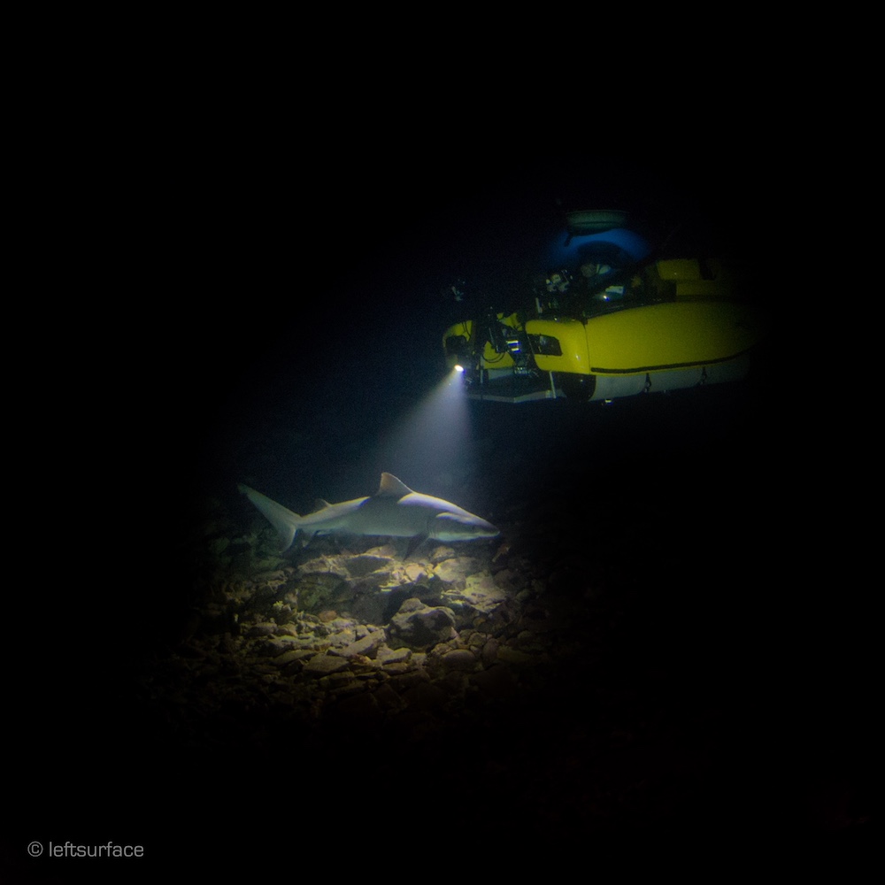 a small submarine in pitch black ocean illuminating a shark with one light