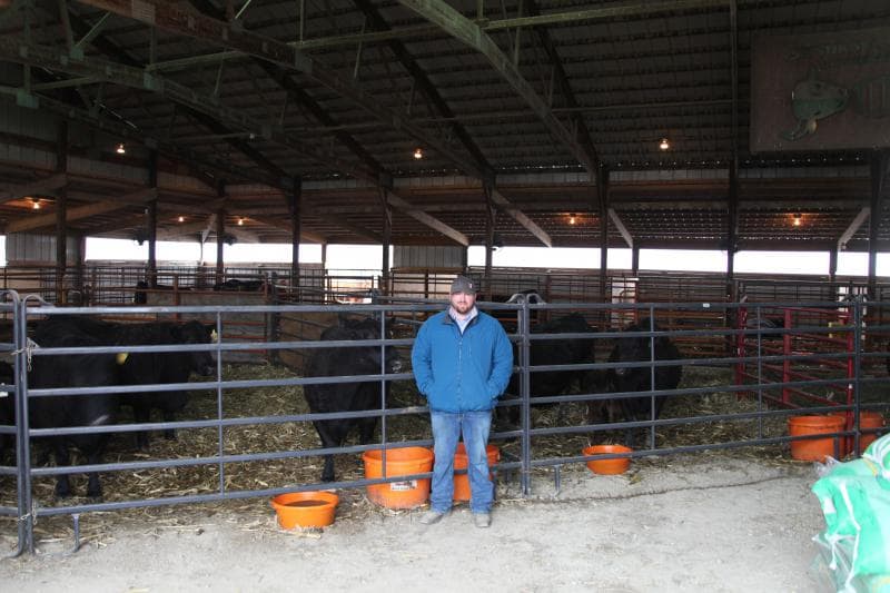 a man in a blue coat standing in front of a gated pin of bulls