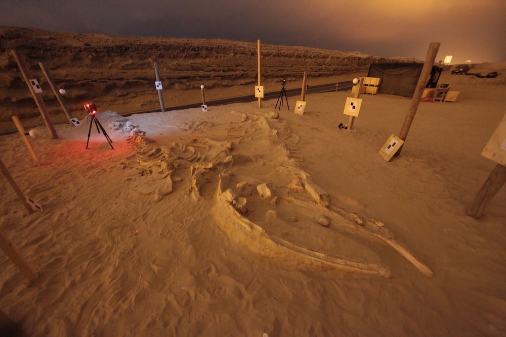 whale fossils at night that are being 3D scanned