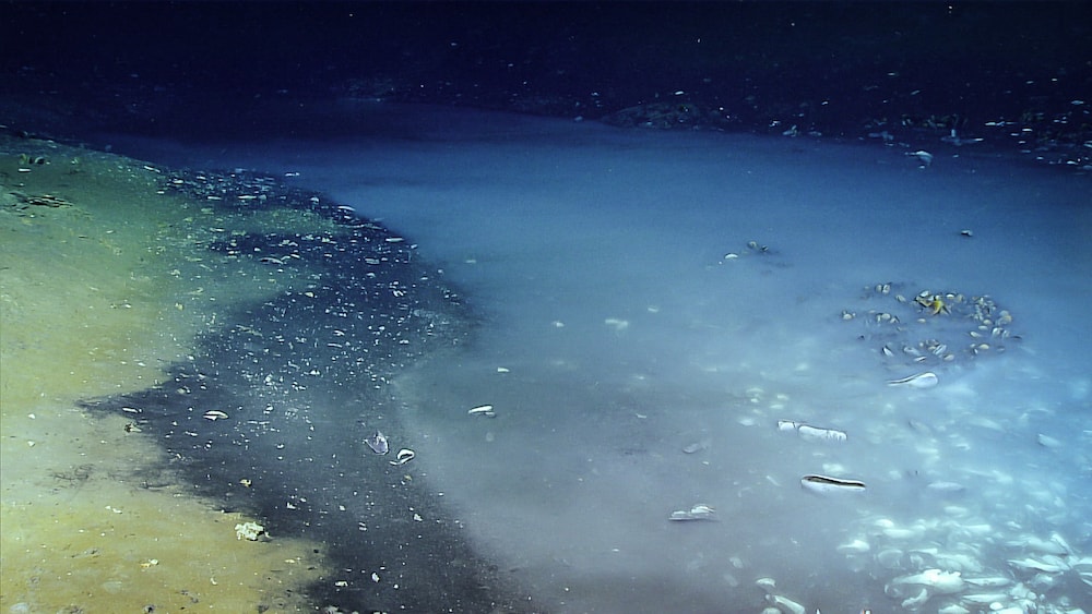 a brine pool at the bottom of the ocean that looks a lot like fog settling but is really super saline water