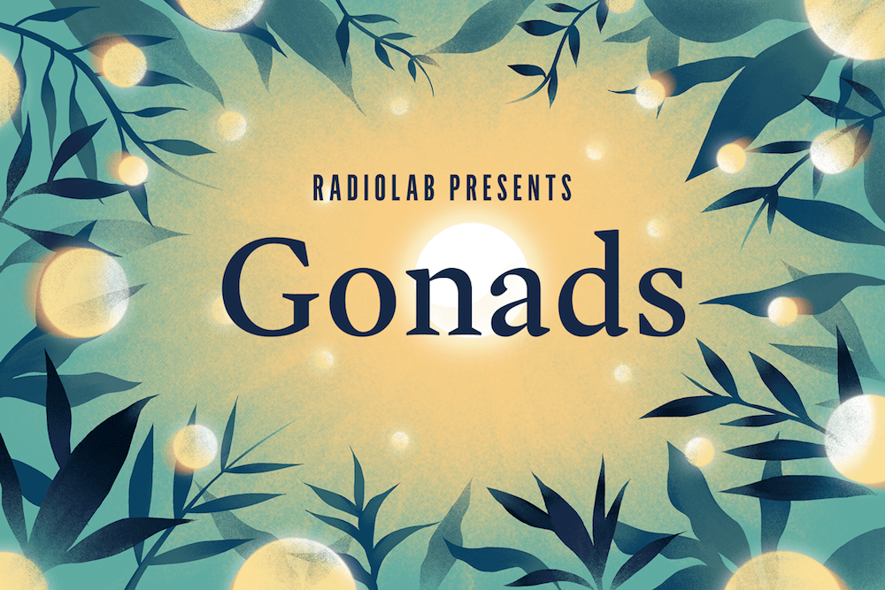 illustration that says "radiolab presents: gonads" surrounded by plants with large glowing circles on some of them