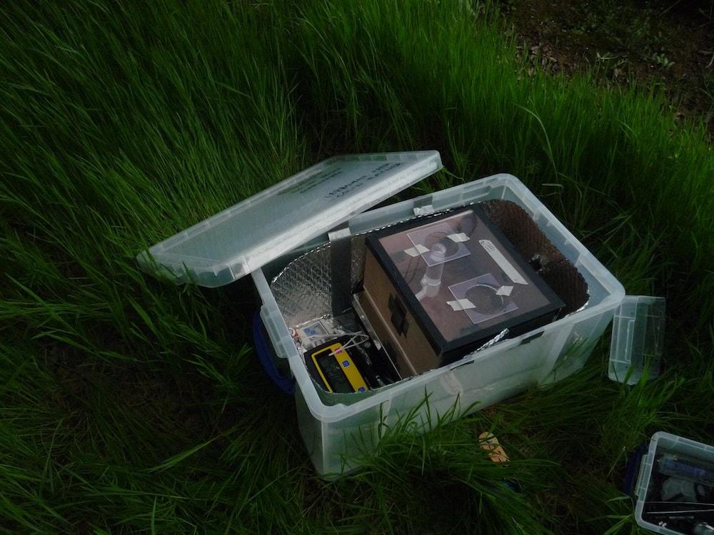 a large clear plastic box with a smaller cardboard box inside sits uncovered in tall grass