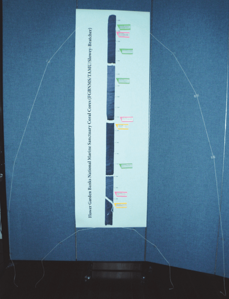 hand-made coral graph