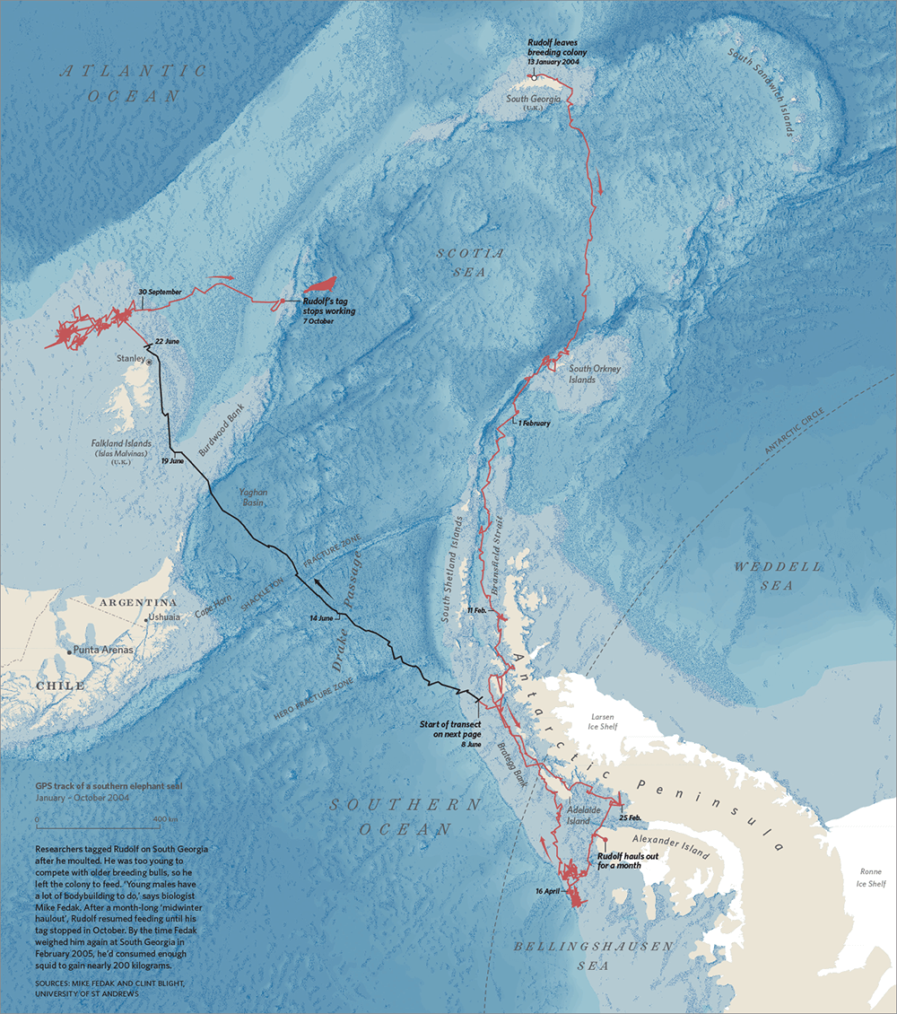 map of seals moving into small areas