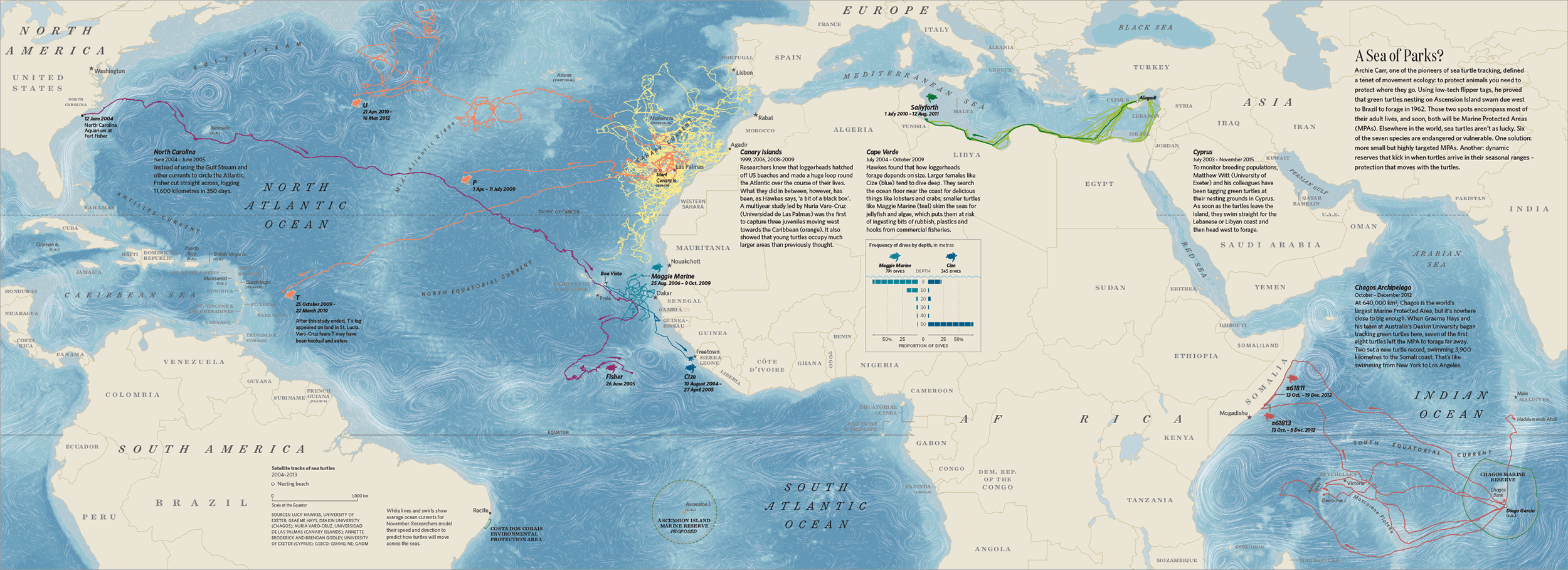 map of turltes moving across the ocean