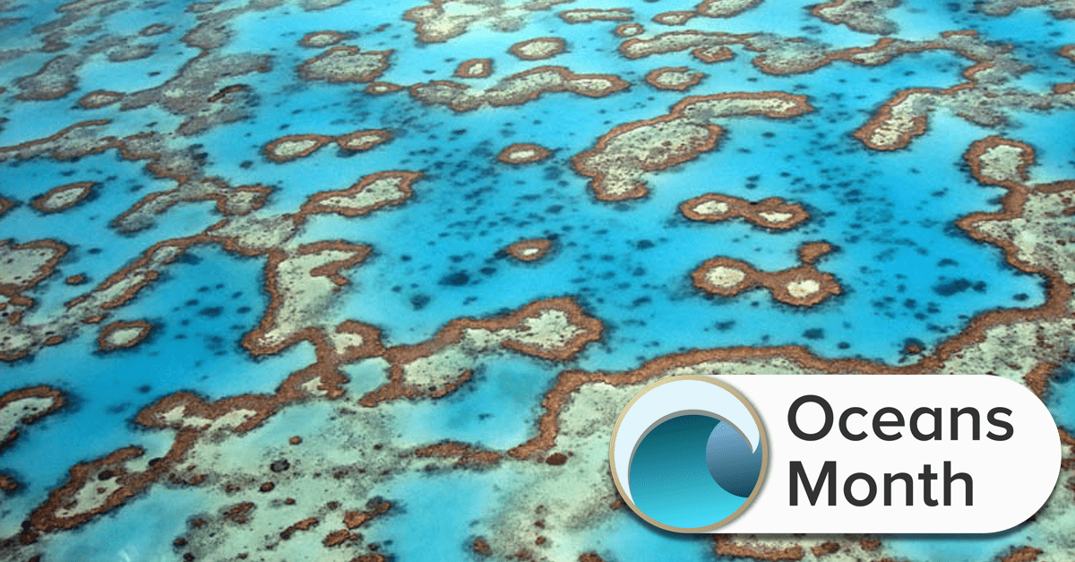 Exploring The Deepest Darkest Spots On Earth Exploring The Deepest Darkest Spots On Earth