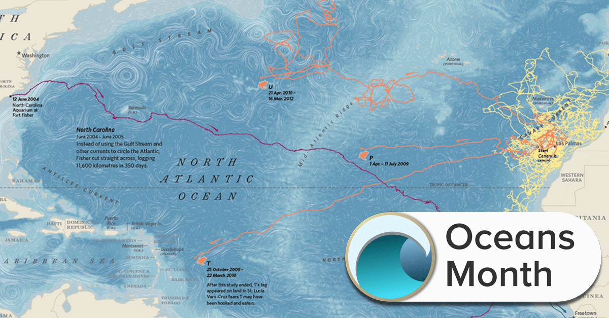 a map of the atlantic ocean with various orange and purple lines squiggled everywhere across it