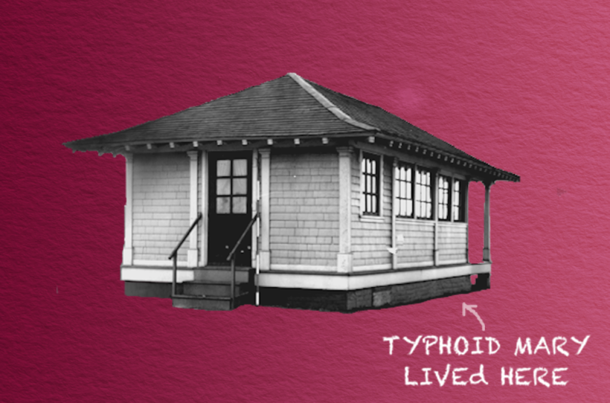 outline of small white cottage with three steps and scratched writing that says "typhoid mary lived here"