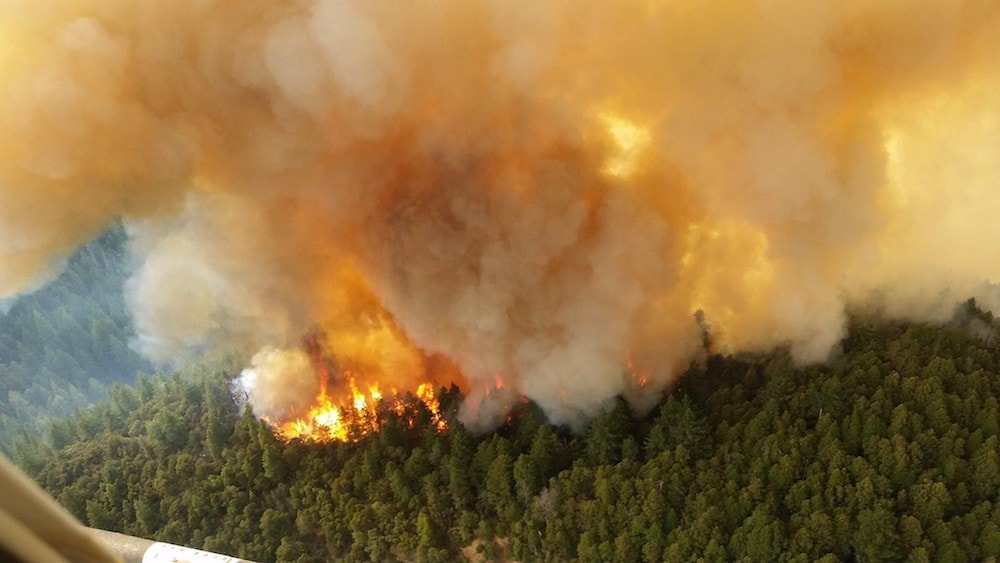 photo taken from plane. fire raging in a forest and smoke spewing