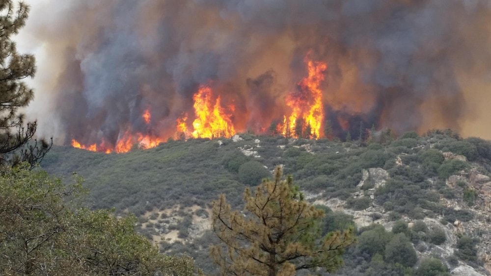 large flames from forest fire at the top of a hill