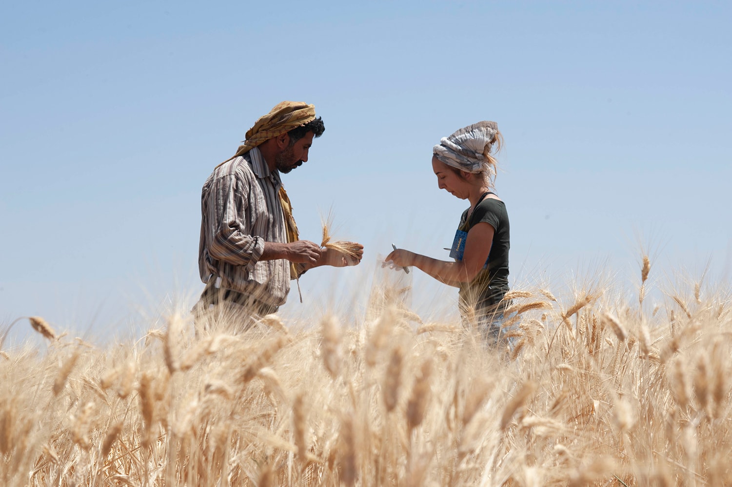 Man and woman standing in field of wheat