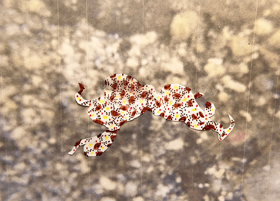 dot colored cephalopod cut out on the seabed background