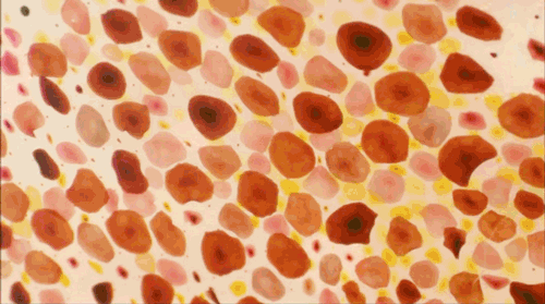 close up of various pink, red, and yellow spots getting smaller and larger