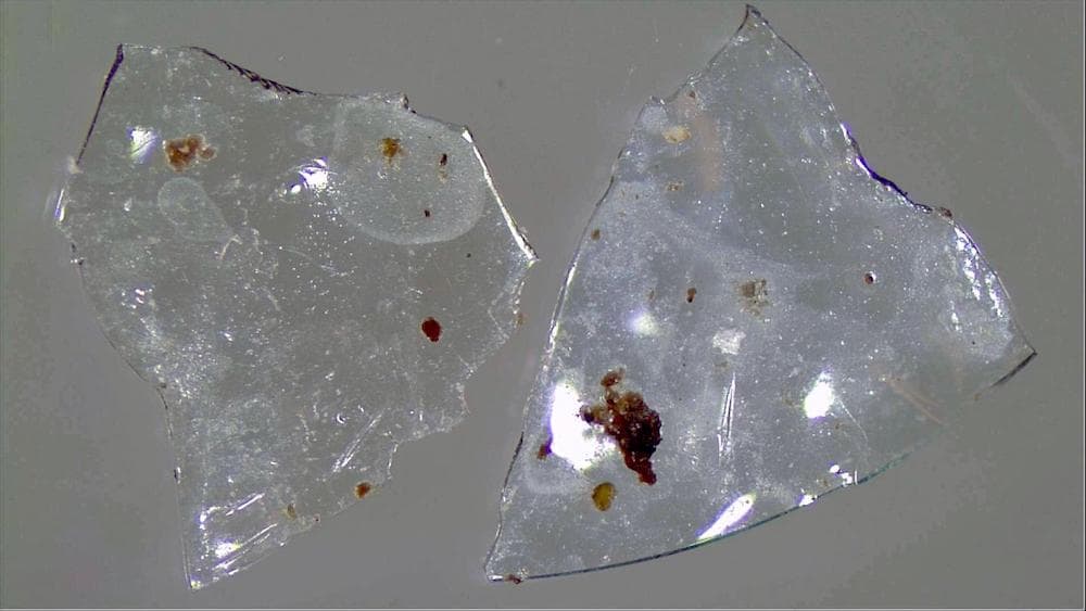 a close up of two pieces of ripped contact lenses that are covered in grime