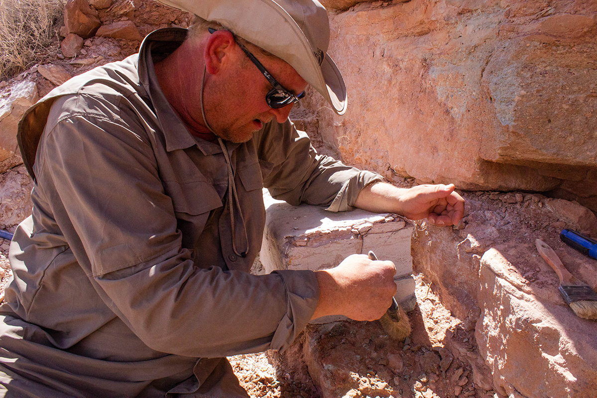 Utah Is A Gold Mine For Fossils