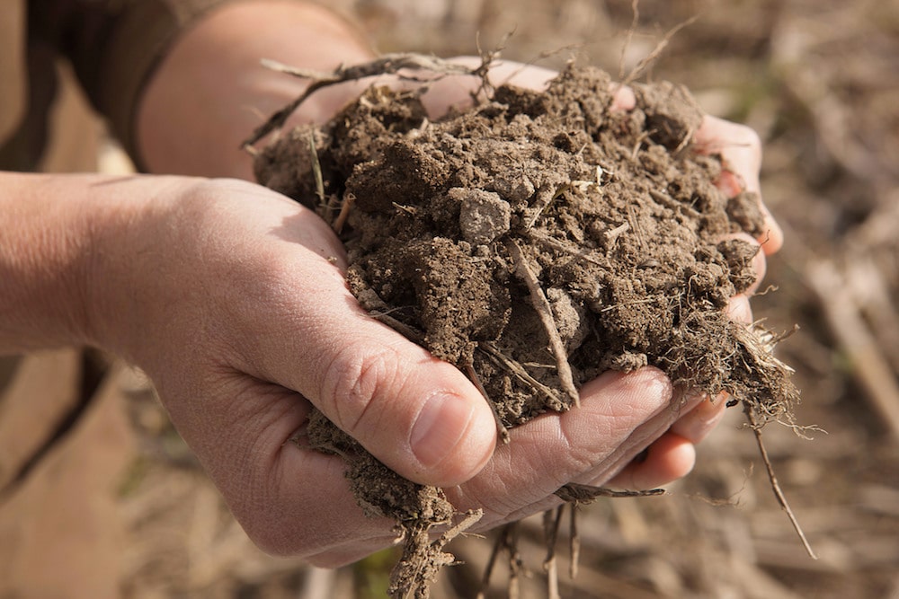 hands holding soil