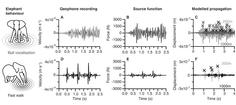 six graphs of elephants creating waves from movement