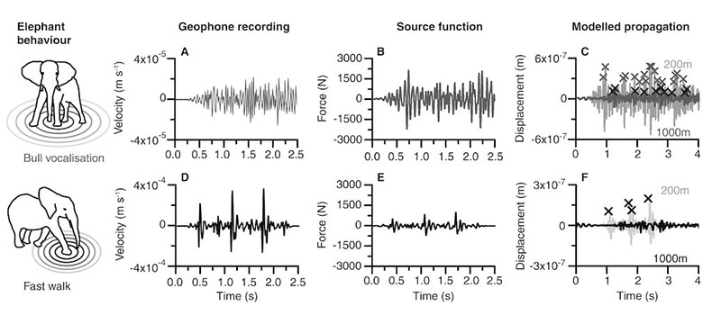 six graphs of elephants creating waves from movement