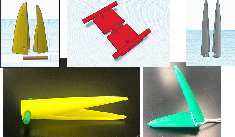 five different illustrations and images of 3D printed beaks