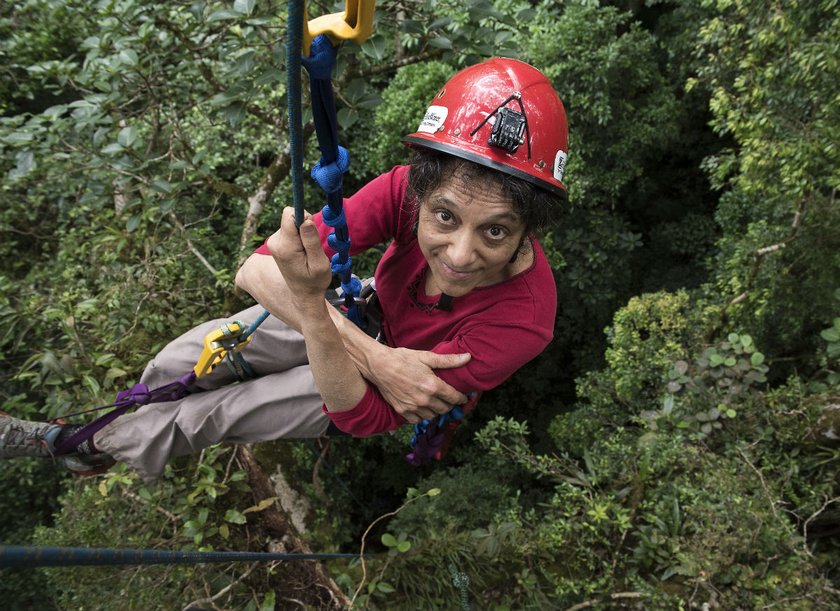 Nalini Nadkarni suspended in the forest canopy wearing a hard hat in Monteverde, Costa Rica