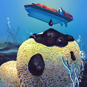 illustration of piece of coral getting oil dripped on it from boat above