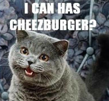 imagen de un gato gris sonriendo con un texto superpuesto que dice "i can has cheeseburger?""i can has cheeseburger?"