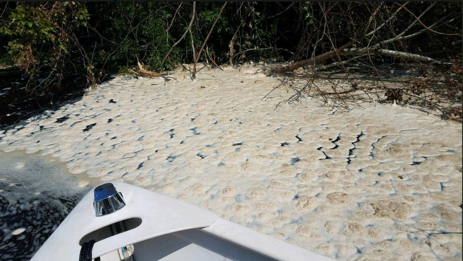 photo shot from boat looking onto sand tinged with a black substance