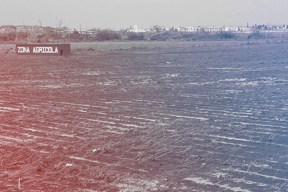 flooded and dead crops under blue sky with red and blue filter on top